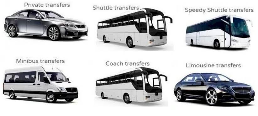 TransportePorto tweet picture