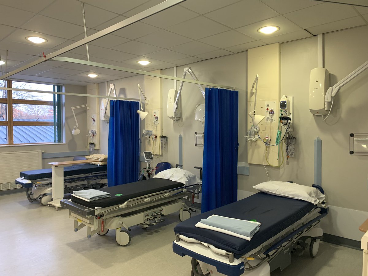 Marie Beck tweet media