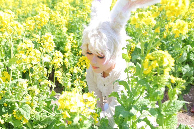 コスプレイヤー弥生のTwitter画像48