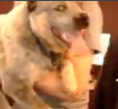 J_Beepo's tweet photo. @LuttiLutti_ @Jeel_TV "hehehe." https://t.co/9VL5bwmUTt