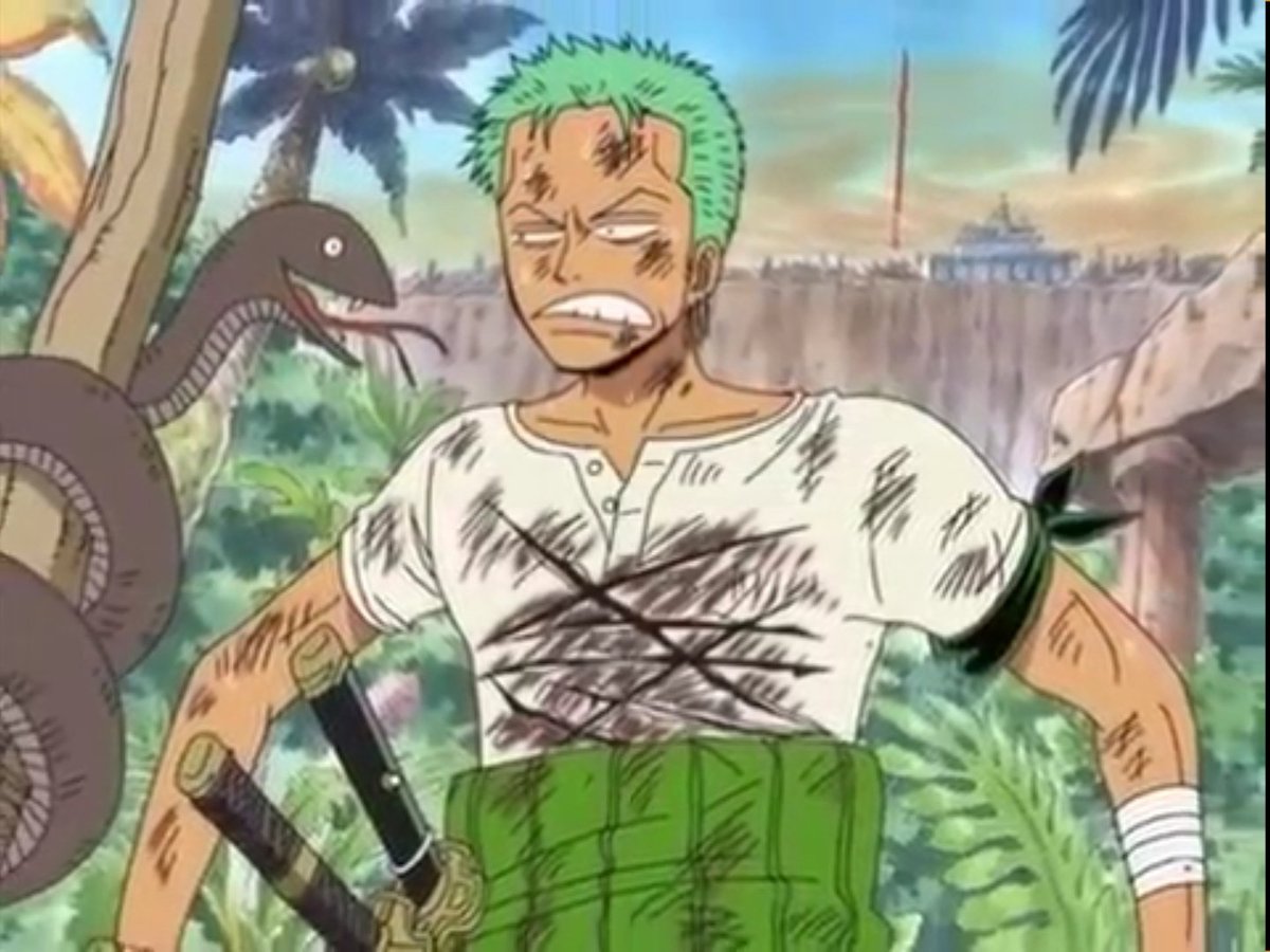 ゾロ迷子 Na Twitterze