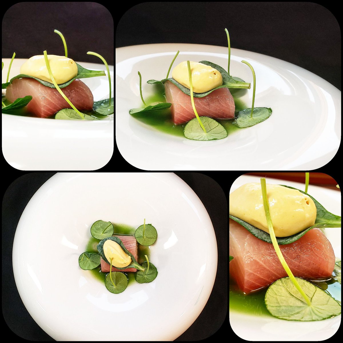 chefjamesoakley's tweet photo. Hamachi, sea urchin, pine, bergamot 
#chef #cheflife #finedining #delicious #recipe #recipes #foodie #food #cook #cooking 
https://t.co/CRTBR0uoWZ https://t.co/zvXRaOpgQS
