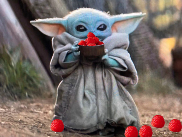 AndgarFood's tweet photo. “Raspberries, I harvest and eat.” says Baby Yoda.
#mandelorian #StarWars #Disney #WashingtonFarm #FreshFruit https://t.co/K4MhYpJ0D9