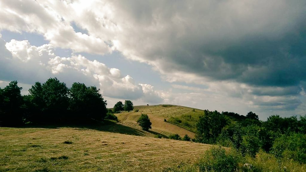 StanojevicTea's tweet photo. Danas je Međunarodni dan planina! 
Obilježava se od 2003.godine, u cilju stvaranja i jačanja svijesti o važnosti planina za život na Zemlji. 
#kozaranationalpark https://t.co/K9Il8HH0tB