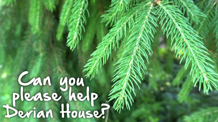 We want to be rockin’ around a (preferably 20-foot-tall) Christmas tree this December... please can you help? 💚

We’re looking for a real Christmas tree to sit proudly at the front of our hospice over the festive period. Please RT and see if we can get one to Derian 🎄
