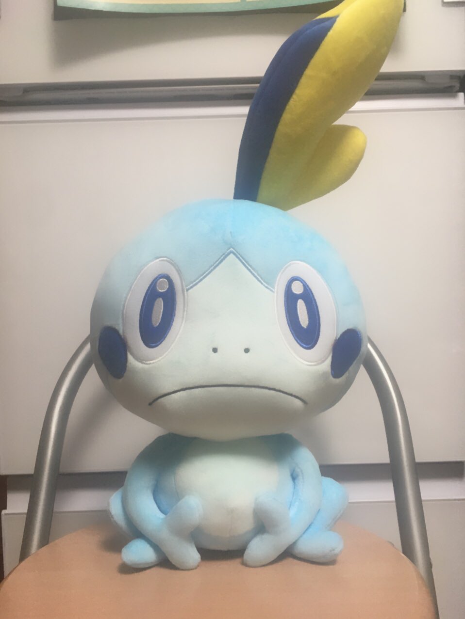 最大89%OFFクーポン ポケモン 等身大 メッソン hirota.com.br