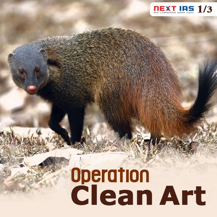 NEXTIAS_Delhi's tweet photo. Recently, Operation 'Clean Art' is launched to crackdown on illegal trade in mongoose hair. It is the first pan India operation.
#upsc #cse #generalstudies #civilservices #nextias #infographics #operationcleanart #cleanart #mongoosehair #WednesdayWisdom https://t.co/WMhzdGCJfT