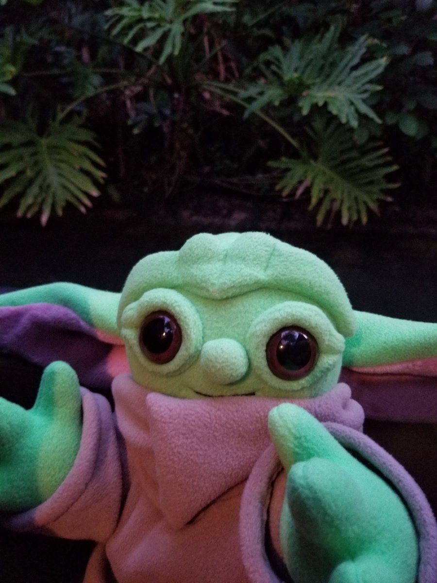 HandmadeStuffs's tweet photo. Good morning from Greenbean!
#BabyYoda #BabyYodaPlush #GoodMorning #HumpDayHappiness https://t.co/l45nXU1oRP