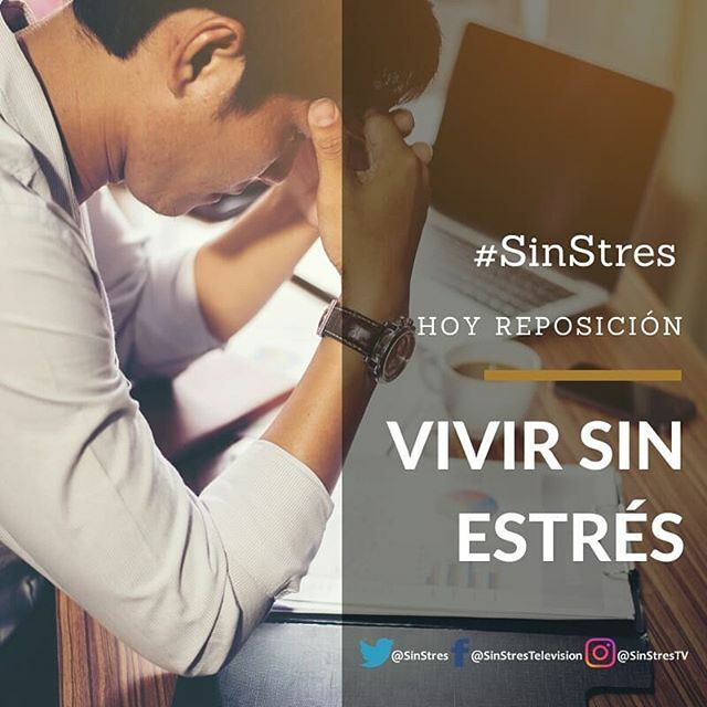 ¿Te perdiste nuestro primer programa de la temporada?

Hoy tienes una nueva oportunidad para disfrutalo a las 10 a.m. por la pantalla de @ventelevisionvalera.

Nuestro tema: "VIVIR SIN ESTRÉS". Recuerda que puedes interactuar con nosotros y dejar tus dudas, opiniones y suger…