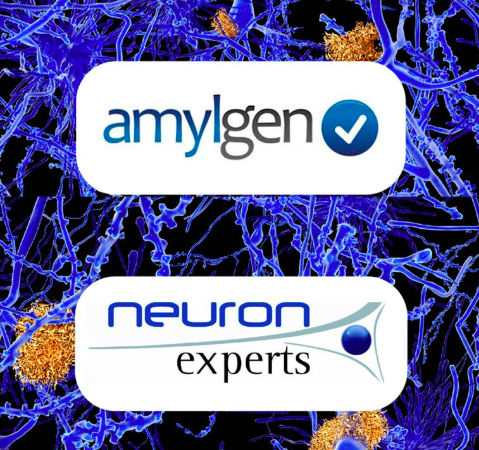 Amylgen's tweet photo. #Amylgen and Neuron-Experts Announce Exclusive, Strategic Partnership providing a new combined in-vitro &amp; in-vivo preclinical offer for a rapid efficacy assessment of your products in neurodegenerative diseases https://t.co/Powt0fEJwS https://t.co/jncDFafylt