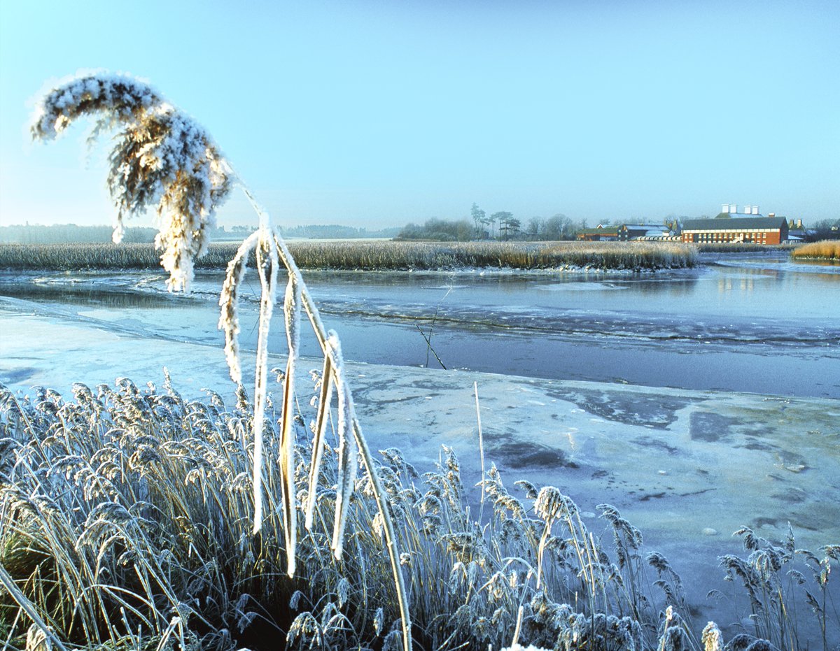 coastandheaths's tweet photo. #ShopLocal for Christmas gifts, and a walk in an #OutstandingLandscape? Try @snapemaltings for their Christmas Farmers Market! And then the #SnapeExplorer walk... #OutstandingHour @AONBFamily https://t.co/HR5mqfbdHY https://t.co/qcdsvwQbG0