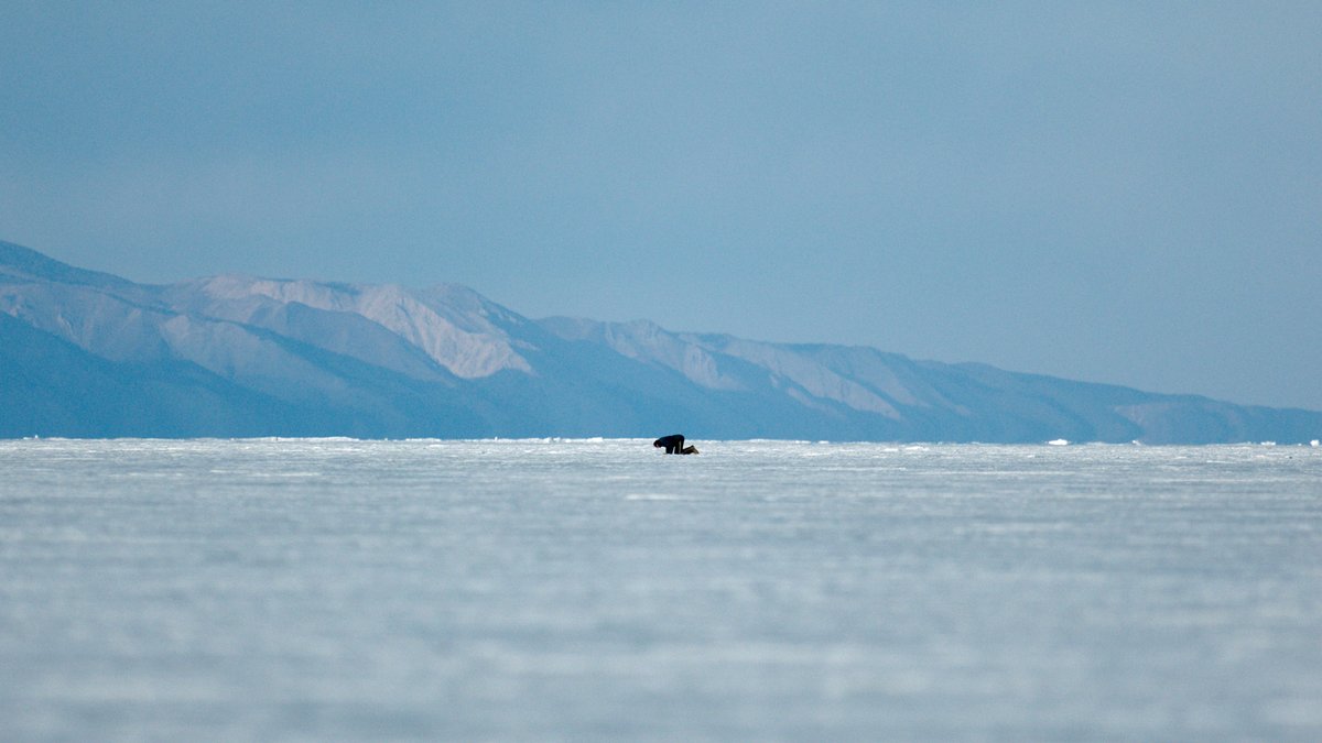 AQUARELA – Film Review: Epically stunning, brutal and moving: heddmagazine.com/2019/12/11/aqu… #Aquarela <a href="/aconitedocs/">Aconite Productions</a> #ClimateEmergency