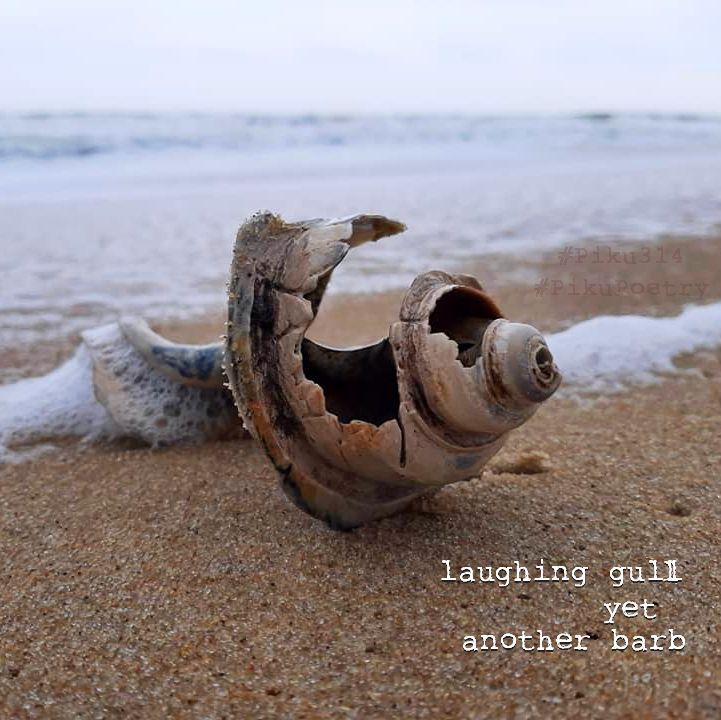 piku_poetry_314's tweet photo. 🥧
#microprompt 1247 #Barb #PikuPoetry #Piku314 #PikuVerse #BeatPoetry #VoMoPo #Binkstuff #JustDelmarvalous #shahai314 #haiku #haiga #senryu #shahai #piehai #pie #pi #BeatPoetry #poem #WIP #MOOFpress #poetrycommunity
.
laughing gull
yet
another barb
. https://t.co/JPG4ZYOMiy