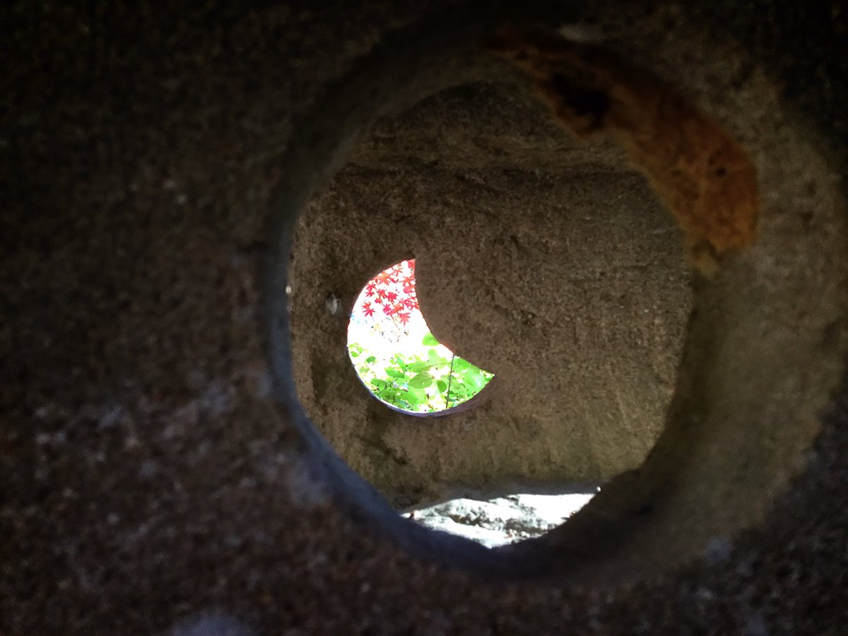 mokomokokazu's tweet photo. 久安寺　池田市
紅葉狩りに行って来ました。初めて行きましたが、思っていたよりすごくいい感じでした。紫陽花も有名だそうで、またその時期に訪れようと思ってます。
#久安寺　#久安寺紅葉　#池田市　#パワースポット　#神社仏閣　#紅葉　#仏閣巡り
#japan  #osaka #ikedacity #temple #japantemple https://t.co/KFQ5fg8R0G