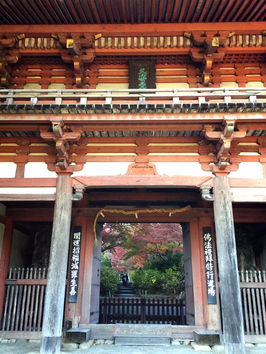 mokomokokazu's tweet photo. 久安寺　池田市
紅葉狩りに行って来ました。初めて行きましたが、思っていたよりすごくいい感じでした。紫陽花も有名だそうで、またその時期に訪れようと思ってます。
#久安寺　#久安寺紅葉　#池田市　#パワースポット　#神社仏閣　#紅葉　#仏閣巡り
#japan  #osaka #ikedacity #temple #japantemple https://t.co/KFQ5fg8R0G