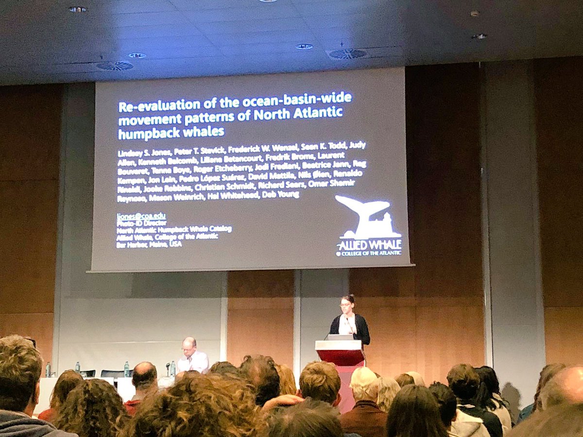 Gave my first oral presentation at the @wmmc2019 today! Thanks to all who listened and help make this work possible #humpbackwhale #movementpatterns