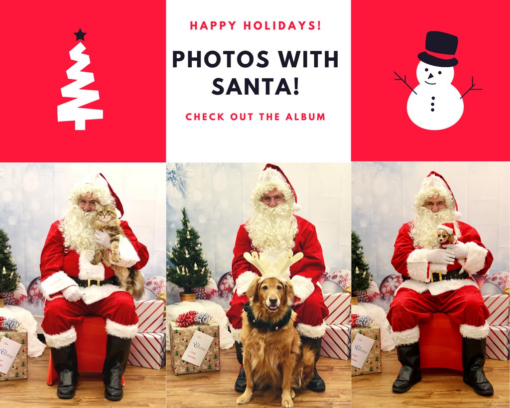 NorthPaws's tweet image. #petphotoswithsanta2019 #westpaws
Thank you everyone and Happy Holidays!