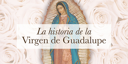 OCPMusica's tweet photo. ¿Cuál es el origen de la devoción a Nuestra Señora de #Guadalupe? En este blog, hacemos un pequeño resumen de las apariciones a #JuanDiego y el milagro de la #Virgen, empezando la historia con Juan Diego en el cerro de #Tepeyac en el año de 1531. https://t.co/juG7WIQrSc https://t.co/HkzVo1Zp3p
