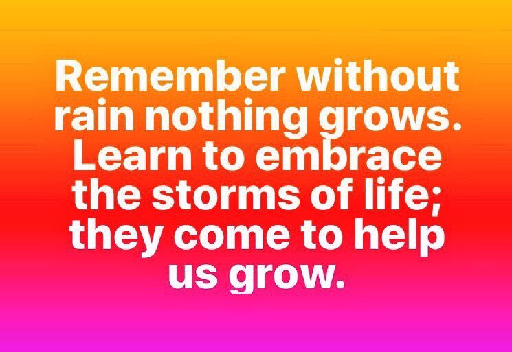 19bones83's tweet image. 