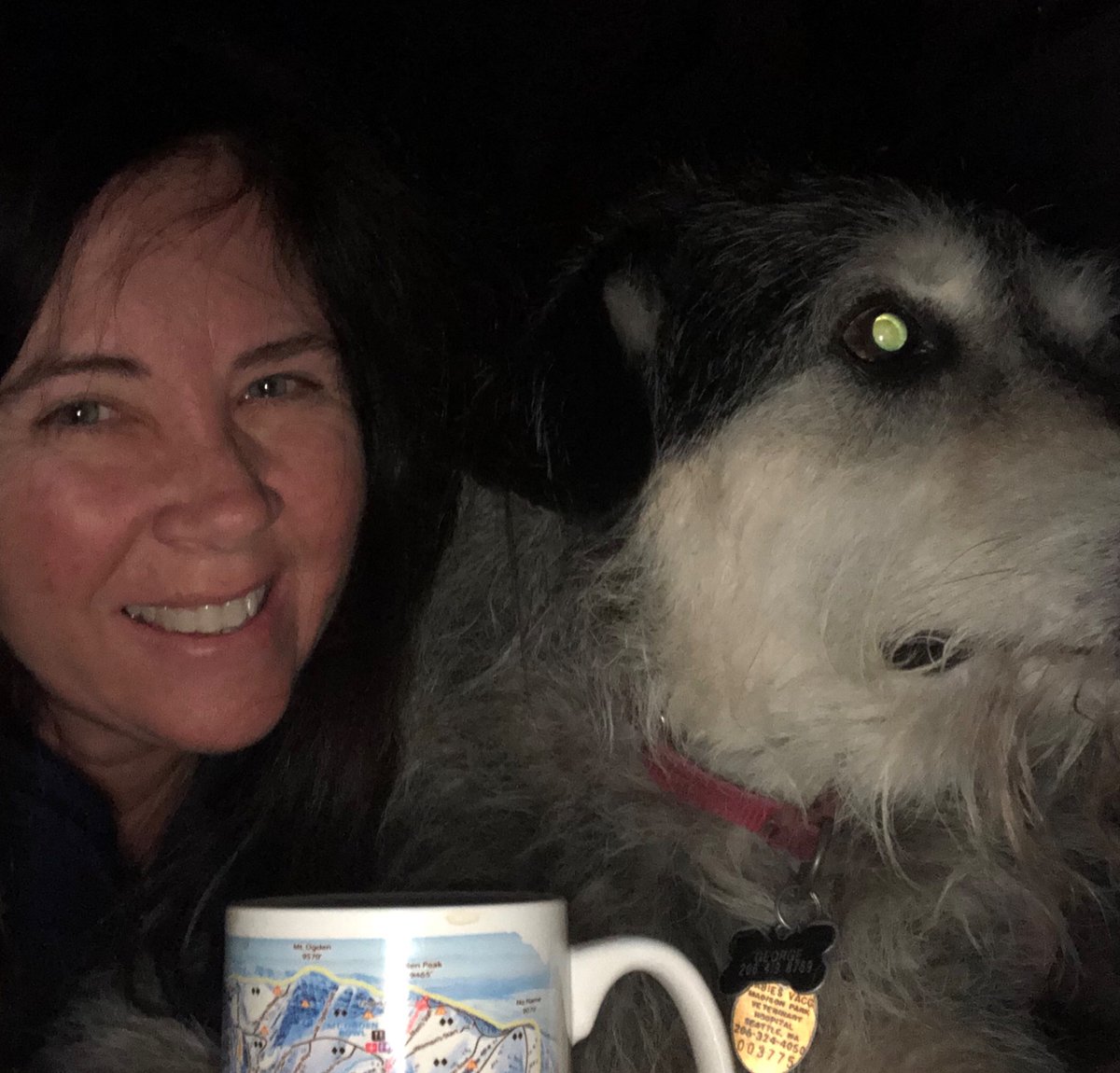 Every morning, coffee in the dark, accompanied by 15 year old George the dog #gottagetup #olddog #don’twakethekids