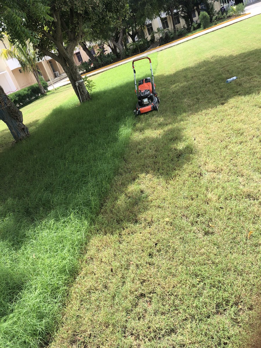 EngMireB's tweet image. Today is the 6th anniversary of the founding of Greenlife landscape, we have won big projects till now.
thanks Allah.