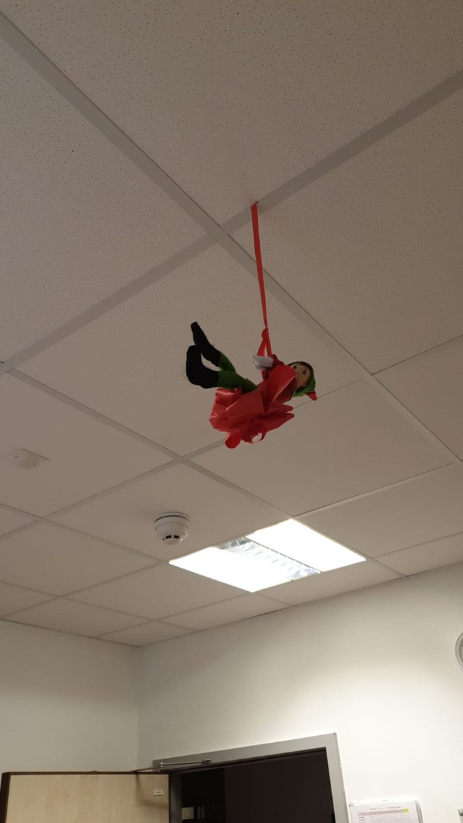 hoffiOT's tweet photo. This week we've had a new daily visitor in the Occupational Therapy office. He's an adventurous little guy. We're not sure how he got here but he's providing festive entertainment for the team!
#ElfGate
#ElfOnTheShelf
#ElfInTheOccupationalTherapyOffice
#FestiveFun https://t.co/lnr4KnAley