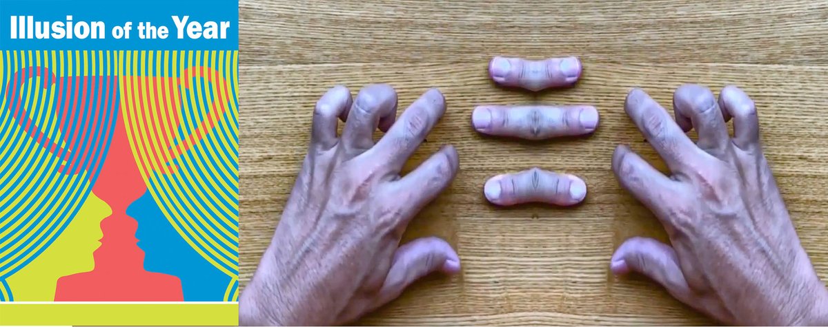 IllusionChasers tweet media