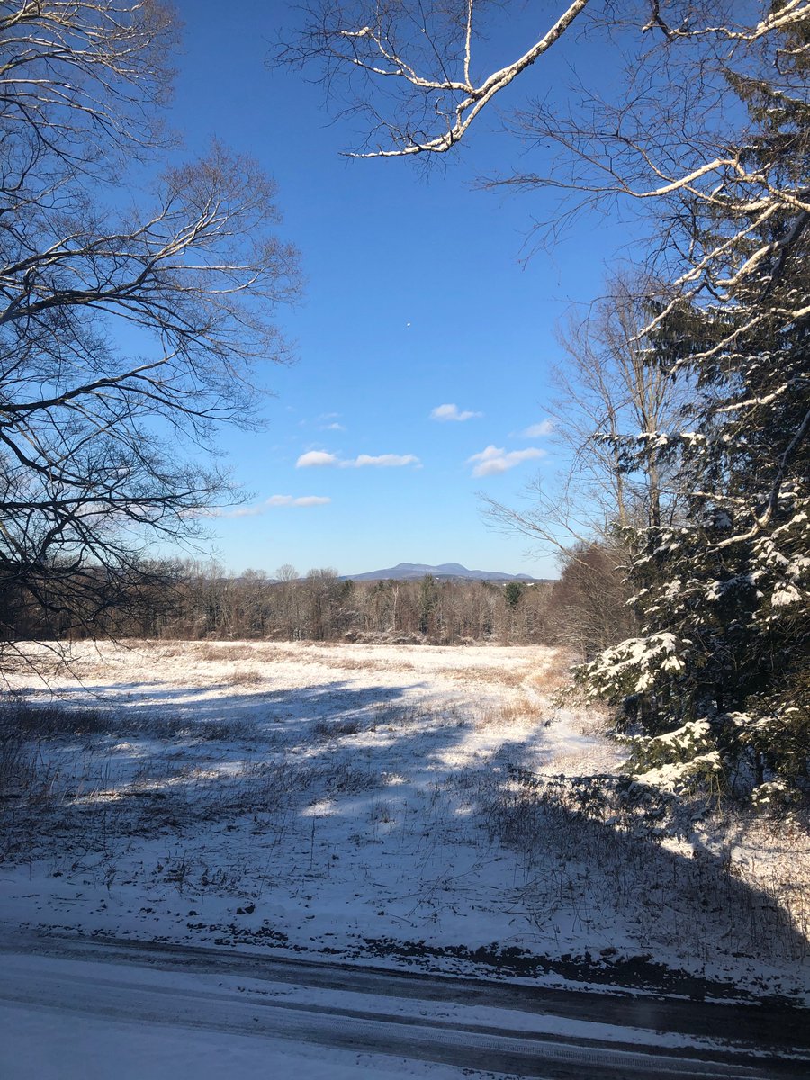 Herman Melville's Arrowhead tweet media