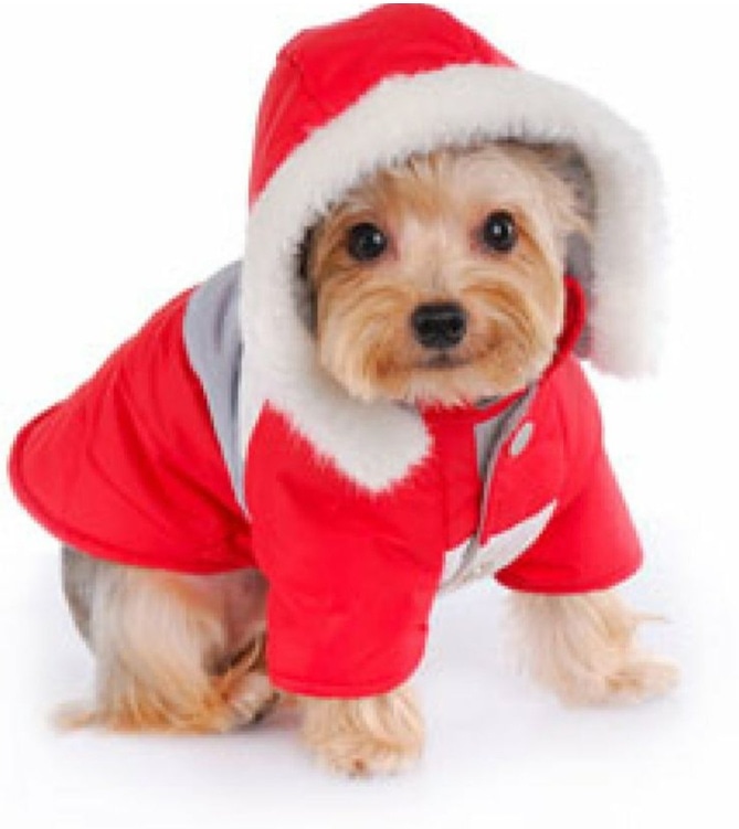 Animanias_ccs's tweet photo. Q estás fechas vengan cargadas con mucha salud, paz, amor y prosperidad... En especial mucha conciencia pa aquellos q regalan #mascotas, recuerda no somos #juguete... Somos seres q necesitamos cariño y mucha atención!! 
#responsabilidad #noalabandono  #navidad #perros #gatos https://t.co/RFwkox0B1i