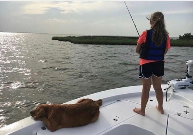 JeffersonLAFun's tweet photo. Ruff Wednesday? Sending some relaxing vibes your way! πΆ π£ | π· @sadiesoutherngolden .
.
.
.
.
#visitjeffersonparish #jeffersonparish #fishjefferson #grandisle #grandislela #onlylouisiana #louisiana #feedyoursoul #fishing #fishinglife #beachlife #islan⦠https://t.co/l6s77EnS1z https://t.co/bckTOIY224