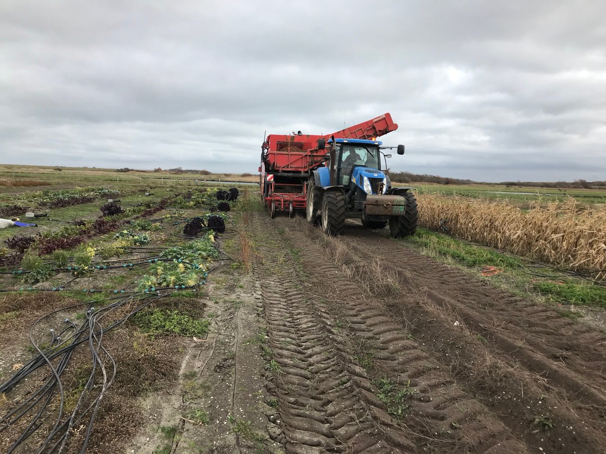 salinefarming's tweet photo. Het is goed om weer activiteiten te hebben op de testlocatie. De aardappelen voor zilte proven gaan de grond uit en de pompen en de installatie weer winter klaar gemaakt.

Op dit moment zijn we bezig met de herstart van onze organisatie. Meer informatie volgt de komende maanden. https://t.co/qzegHIoxL9