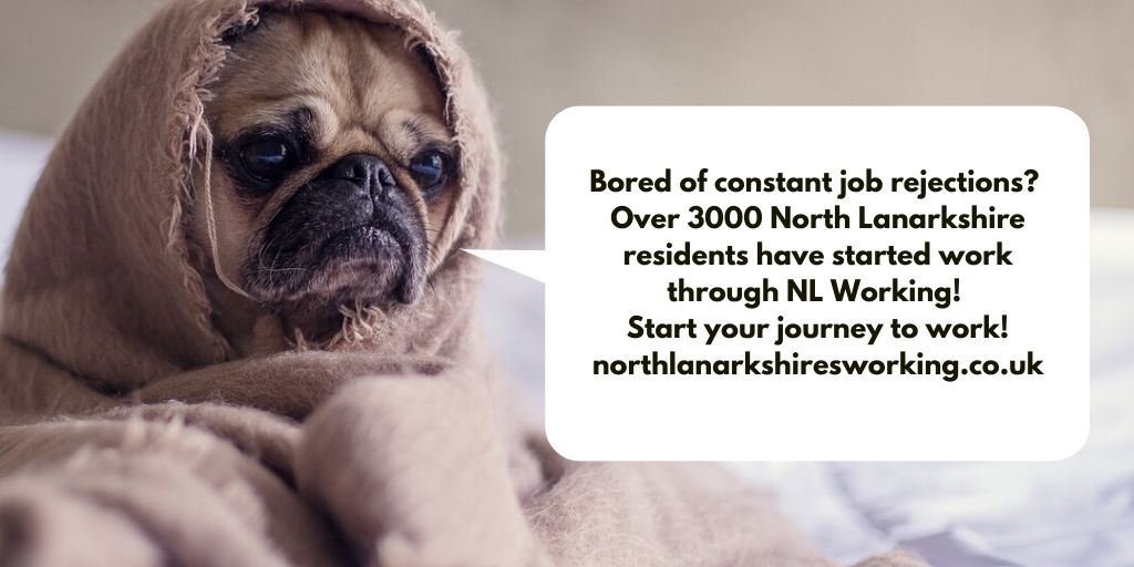 Looking for work and bored of constant job rejections?

Did you know that the NLW team has supported over 3000 local people into employment?! Sign up today to access EXCLUSIVE vacancies and start your journey to work! 👇👇

northlanarkshiresworking.co.uk/sign-up/