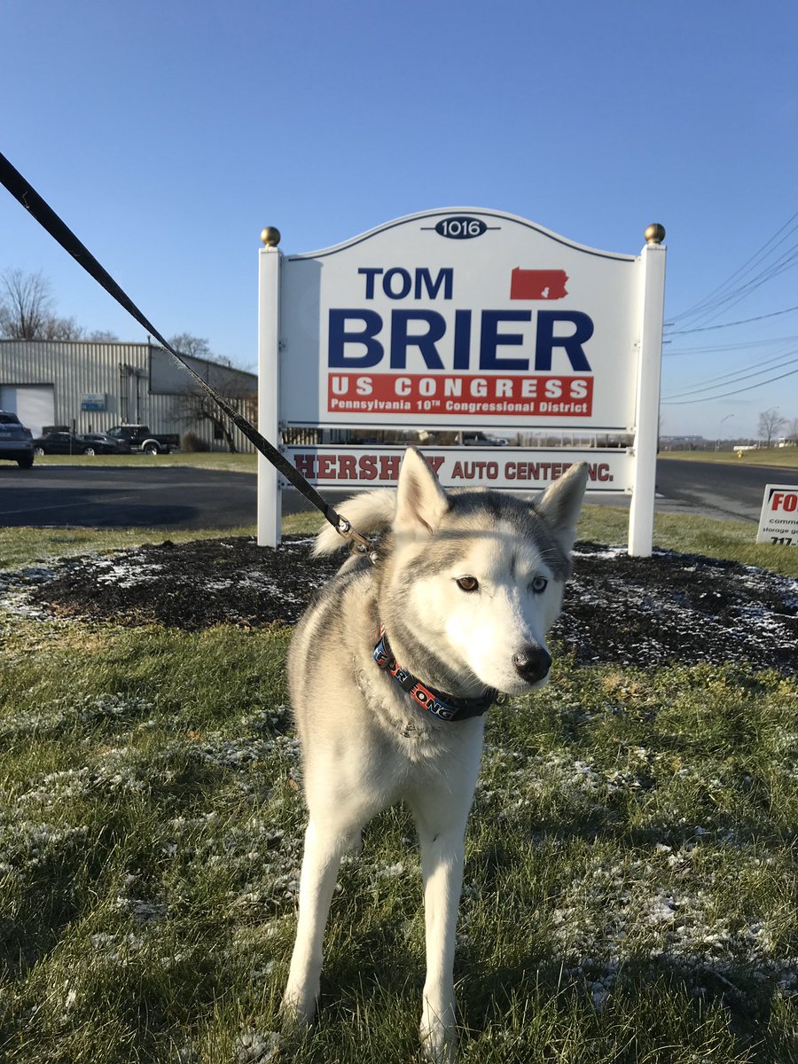 TomBrierJr's tweet photo. The #brierforcongress office is now official! https://t.co/WB655eazzP