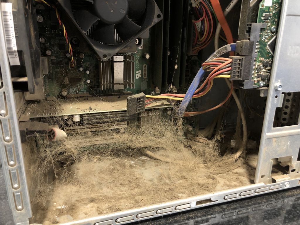 HarpoComputers's tweet photo. What’s living inside your PC? 😱

£89 service included a full clean of your computer, inside and out! 🧽 

01582 769207 https://t.co/LNLSBeQzfK