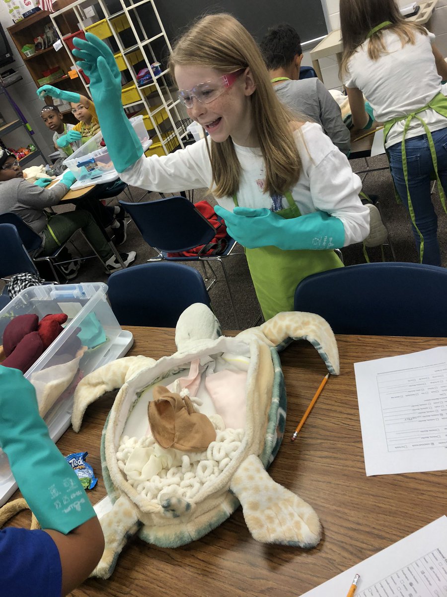 AIG_Thompson's tweet photo. Turtle necropsies being conducted with UNCW Turtle Trash program #onslowAIG #savetheseaturtles @jcecubs https://t.co/W44FqeWAxd