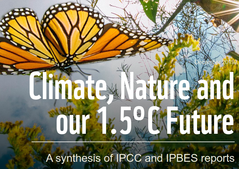 Today <a href="/WWF/">WWF</a> launches Climate, Nature and our 1.5°C Future Report.🦋

Recommended! for a synthesis of #IPCC/#IPBES reports - SRs on 1.5ºC warming; land; the ocean and cryosphere and global assessment on biodiversity and ecosystem services. 

wwf.panda.org/our_work/clima…