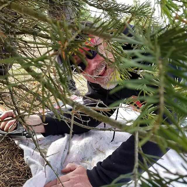 pineyacresfarm's tweet photo. A favorite #pineymoments tag from last week. #keepitreal https://t.co/yyPWMnDU5i