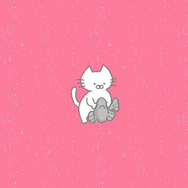ねこめさんとぼしくん Nekome To Boshi Twitter