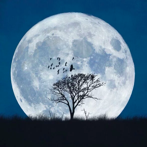 namirasalim's tweet photo. Make sure you check out the #fullmoon 🌕 tonight, which is also called the #ColdMoon and the #LongNightsMoon, partly due to #December’s long and cold nights! Grab a #blanket and enjoy the #beauty of this evening’s #spectacle! #FollowMeToTheMoon https://t.co/fGyV6bRus3