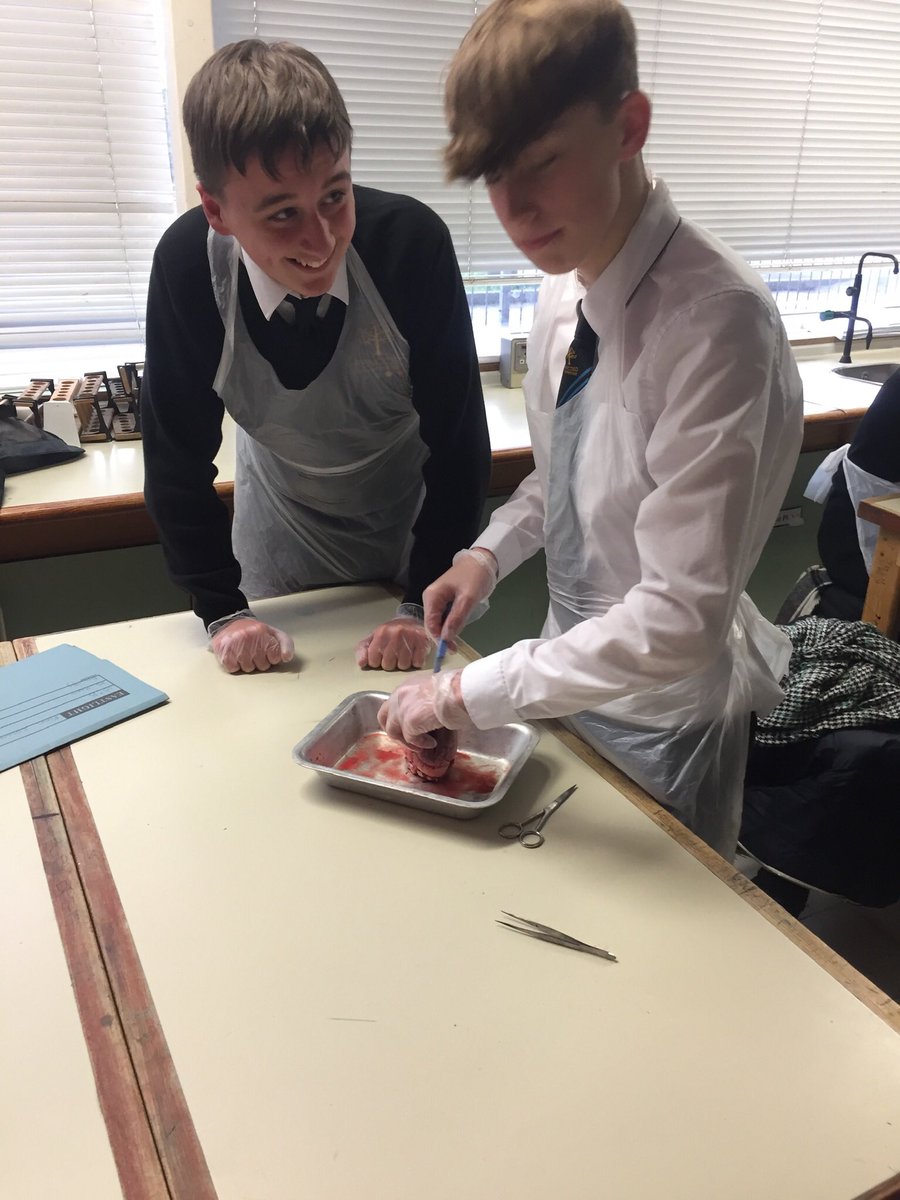 Pencoed science tweet media