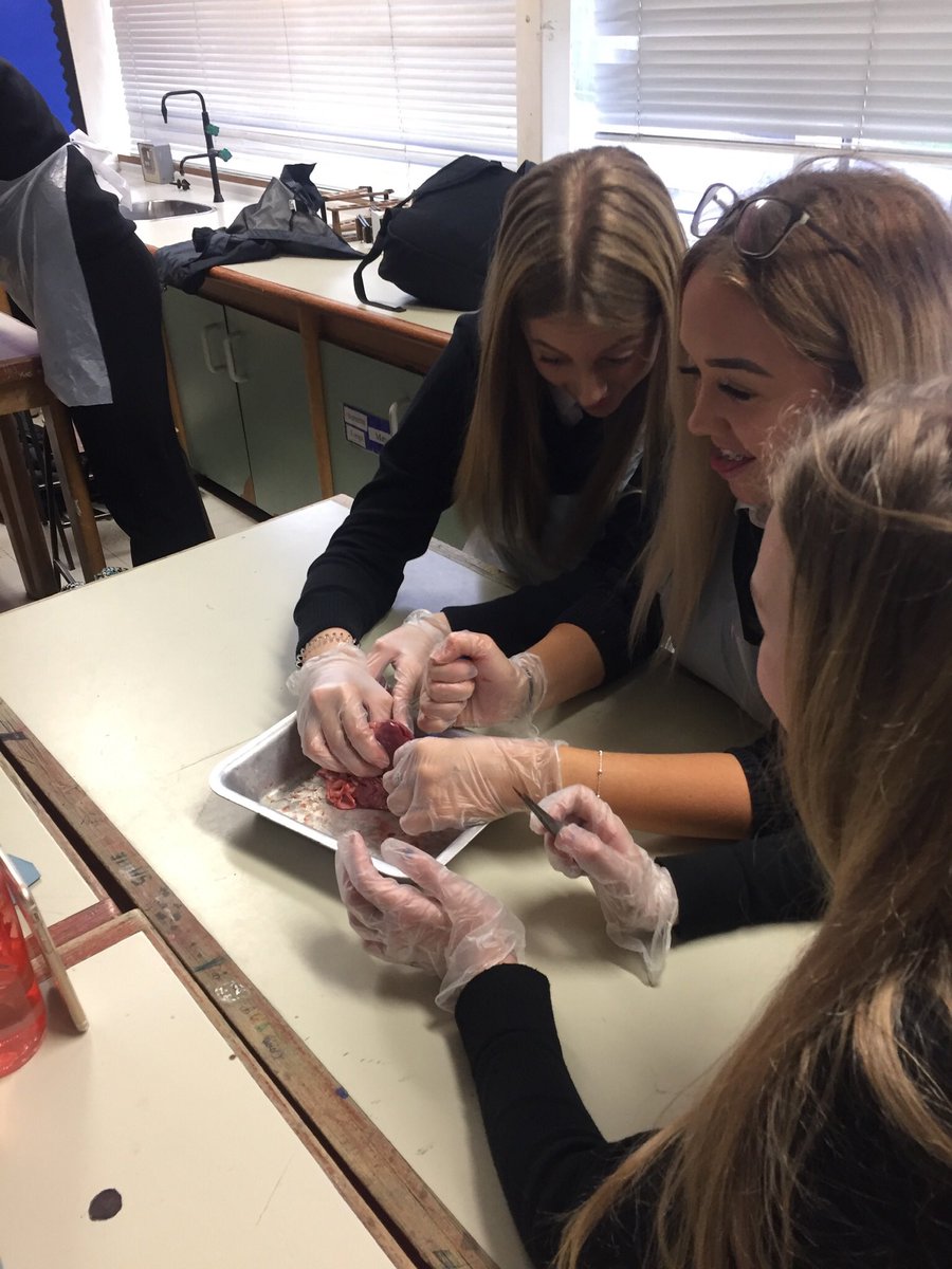 Pencoed science tweet media