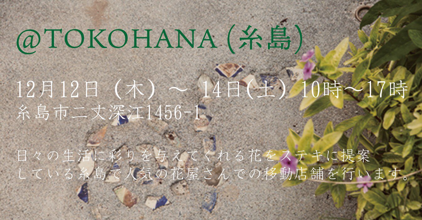 Yachimoon 3日間 糸島のお花屋さんトコハナで 沖縄やちむん移動店舗を開催します やちむん 糸島 ダンザパデーラ ドライフラワー しめ縄リース T Co Ypfwqcxal7 Twitter