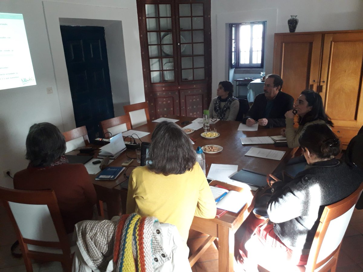 Steering group meeting of <a href="/newbieH2020/">newbie-academy</a> project in Portugal @ICAAM_UE