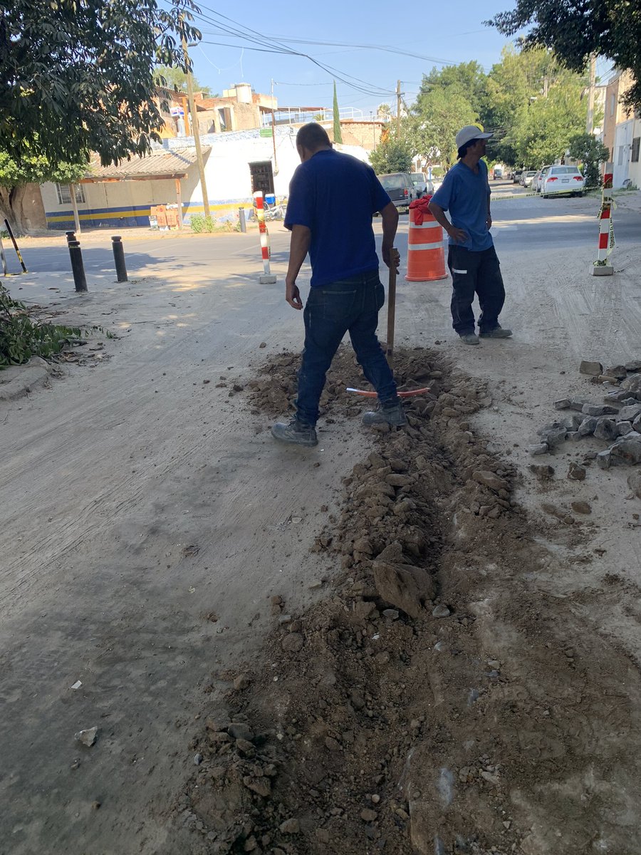 David Gómez-Álvarez 🇲🇽 tweet media