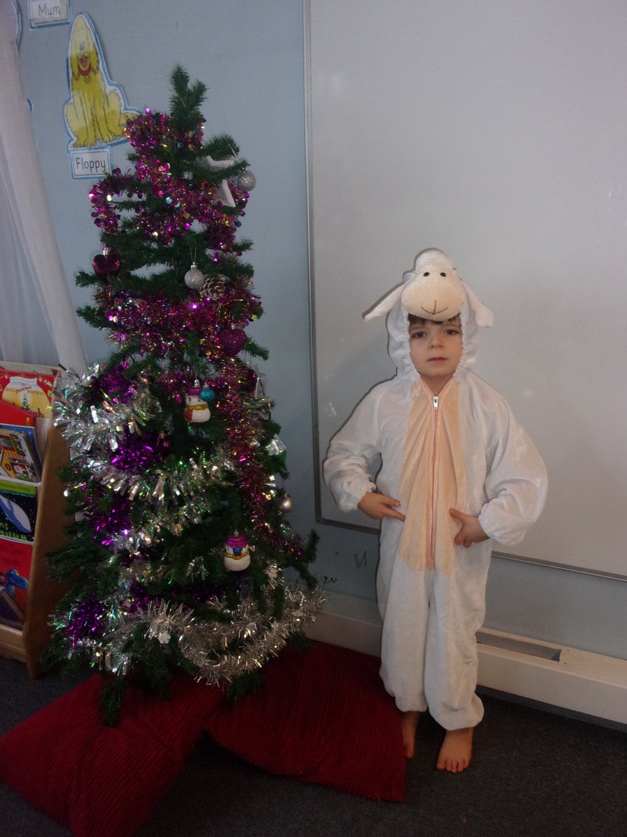 SpringwellRecep's tweet photo. Our amazing sheep ๐ ๐ #OurFirstNativity https://t.co/r27gmTOomf