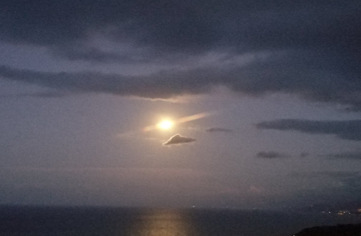 auroraluce9's tweet image. #PetaliDiPoesia
#PoesiePerLaSera

Una solitudine pura e una pace profonda.
Le cose migliori che la luna possa offrire agli uomini.

H. Murakami