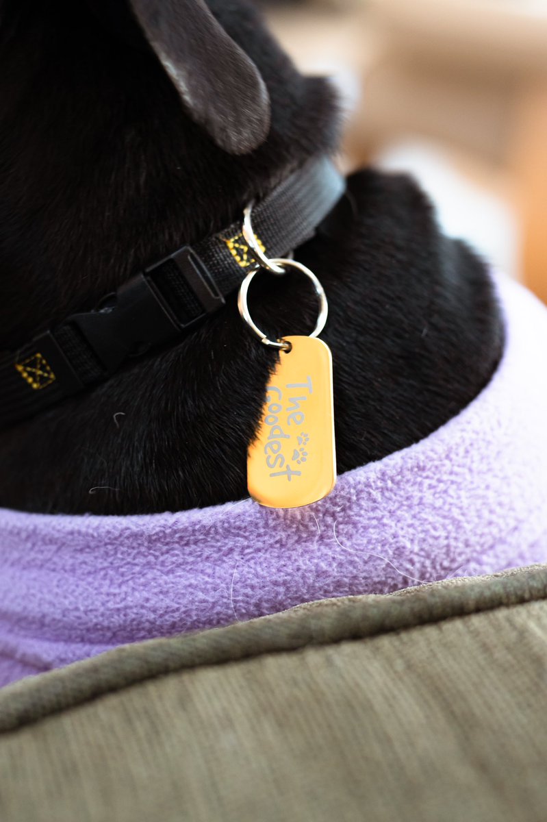 WeRateDogs tweet media