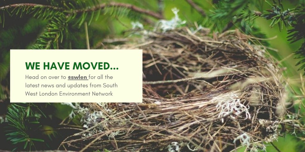 richenvironment tweet media