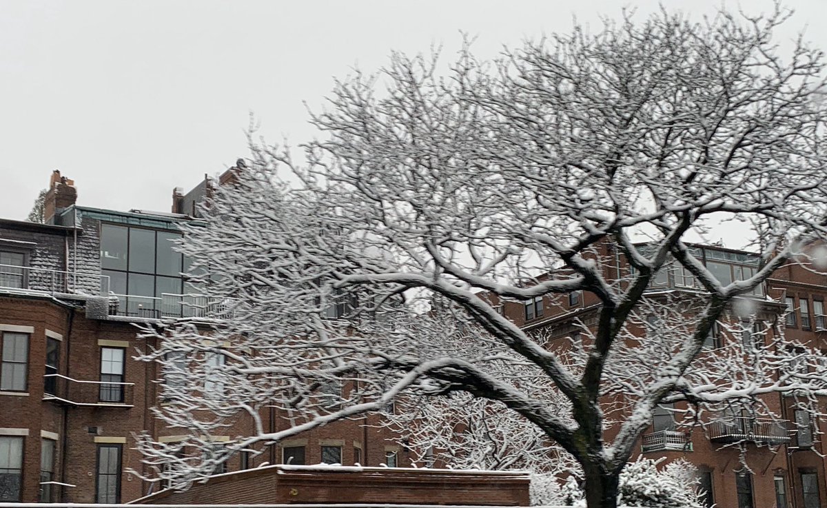 stefanyshaheen's tweet photo. A beautiful day to be in Boston for a Joslin Diabetes Center Board of Trustees meeting!
#untilthereisacure
#untiltypenone https://t.co/JnB3X88hJD