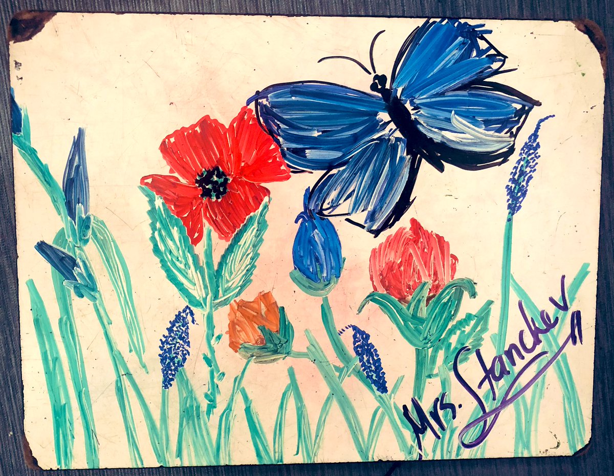 My five year old student did great photography better than other adults I know 🥰 she’s skilled already 📸 <a href="/KindExplorer102/">Mrs. Stanchev 🌱 Mr. Meany</a>